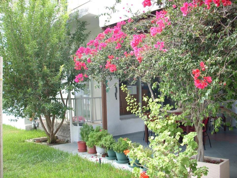 Sea Breeze 2 Apartments Мастихари Экстерьер фото